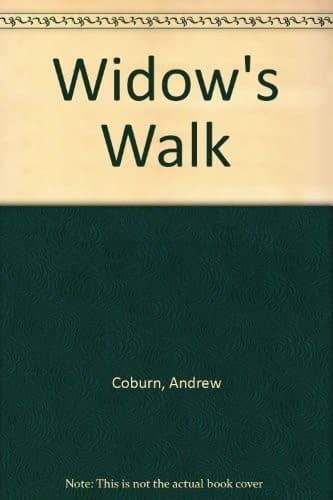 Cover image for Widow's walk