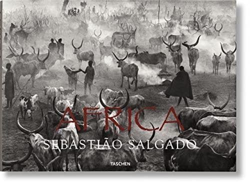 Cover image for Africa