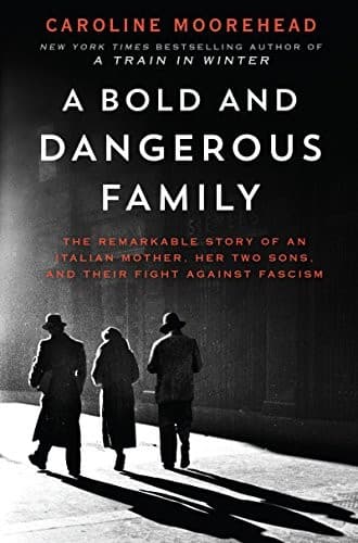 Cover image for A bold and dangerous family
