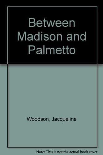 Cover image for Between Madison & Palmetto