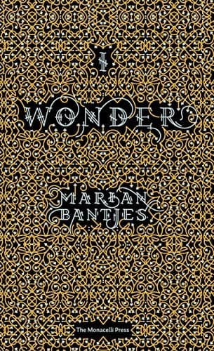 Cover image for I wonder