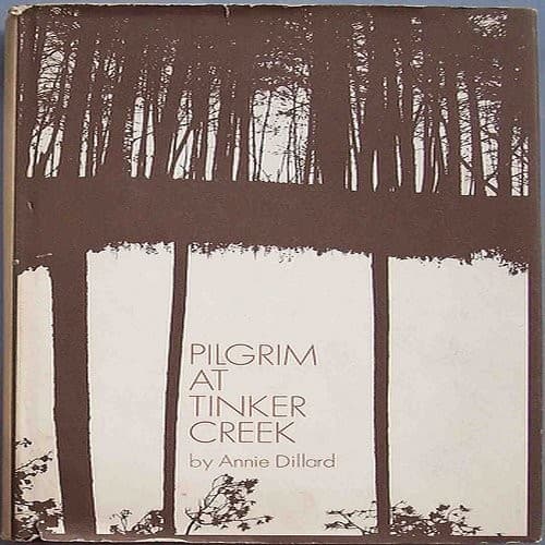 Cover image for Pilgrim at Tinker Creek.