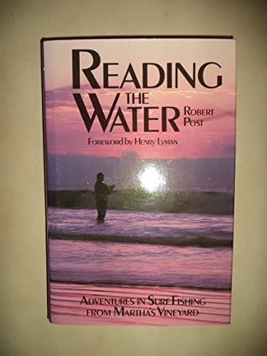 Cover image for Reading the water