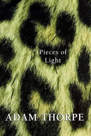 Cover image for Pieces of light
