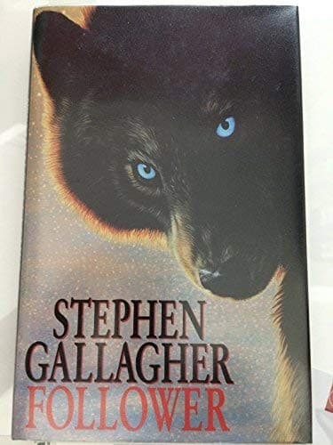 Cover image for Follower