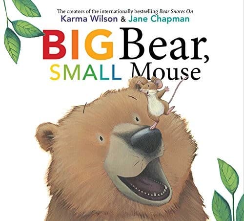 Cover image for Big bear, small mouse