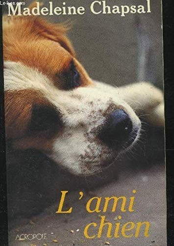 Cover image for L' ami chien