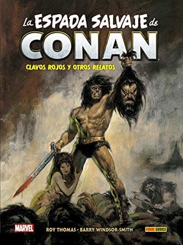Cover image for Biblioteca conan la espada salvaje de conan