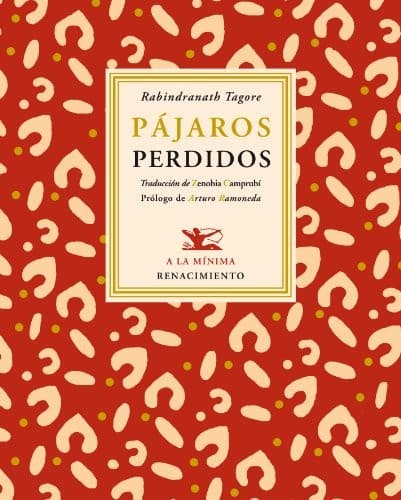 Cover image for Pájaros perdidos