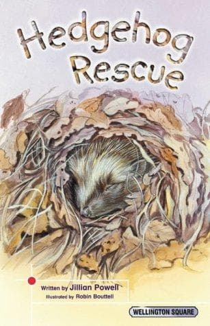 Cover image for Wellington Square (Wellington Square)