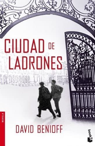 Cover image for Ciudad de ladrones