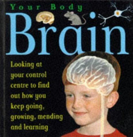 Cover image for Brain (Your Body)
