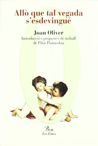 Cover image for Allò que tal vegada s'esdevingué