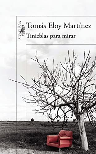 Cover image for Tinieblas para mirar