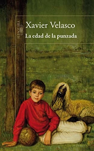 Cover image for La edad de la punzada