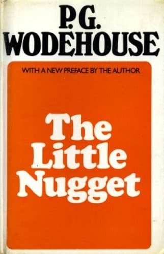 Cover image for The little nugget
