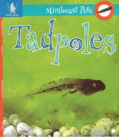 Cover image for Tadpoles (Minibeast Pets)
