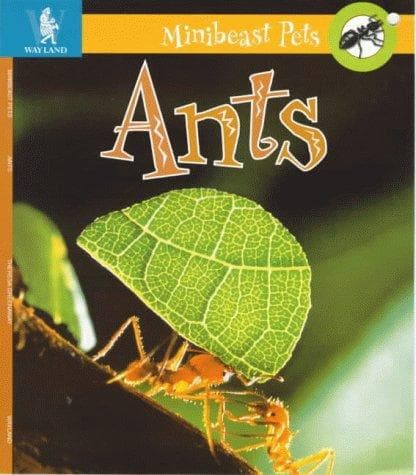 Cover image for Ants (Minibeast Pets)