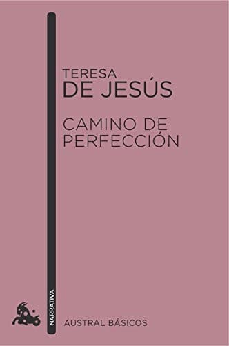 Cover image for Camino de Perfección