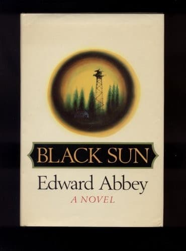 Cover image for Black sun