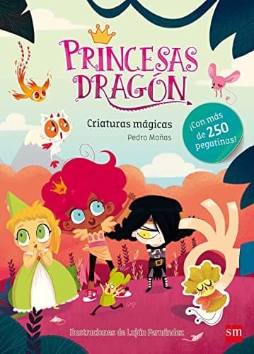 Cover image for Princesas Dragón
