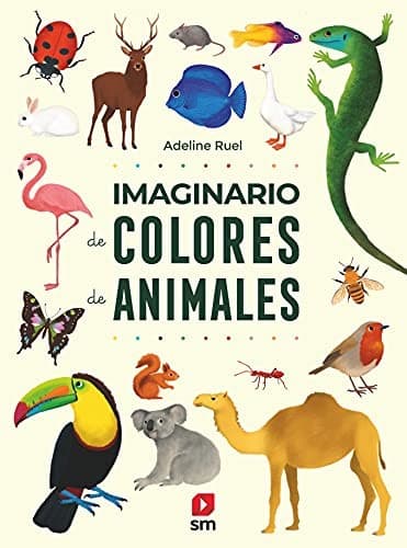 Cover image for Imaginario de colores de animales