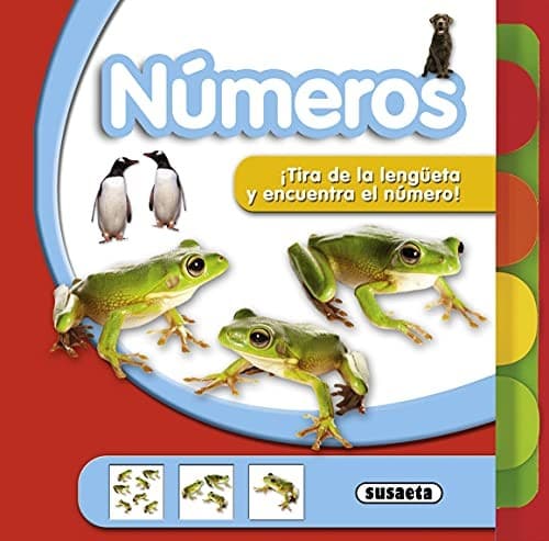 Cover image for Números