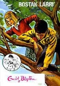 Cover image for Bostak larri
