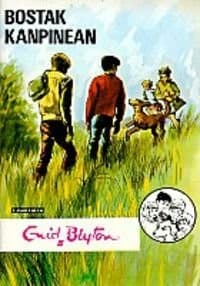 Cover image for Bostak kanpinean