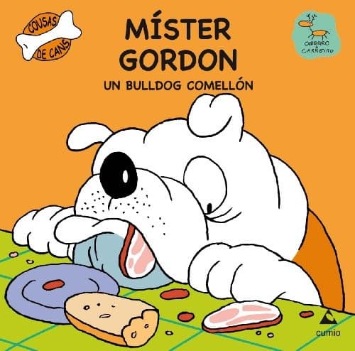 Cover image for Míster Gordon