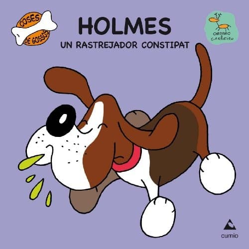 Cover image for Holmes