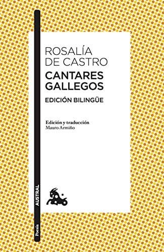 Cover image for Cantares gallegos