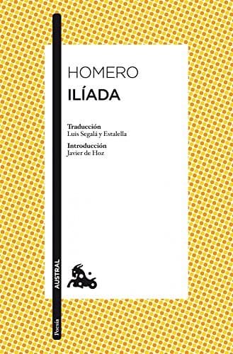 Cover image for Ilíada