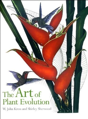 Cover image for The art of plant evolution