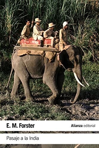 Cover image for Pasaje a la India