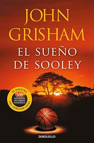 Cover image for El sueño de Sooley
