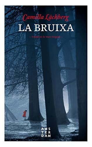 Cover image for La bruixa