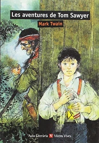 Cover image for LES AVENTURES DE TOM SAWYER