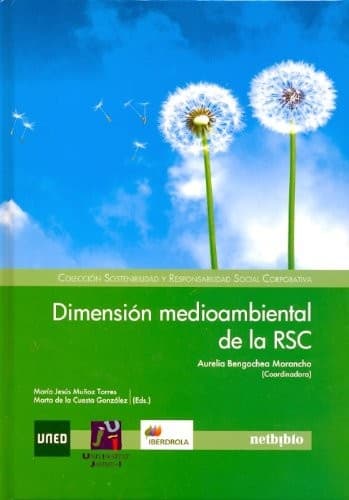 Cover image for Dimensión medioambiental de la RSC