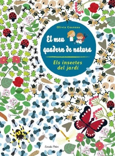Cover image for Insectes. El meu quadern de natura