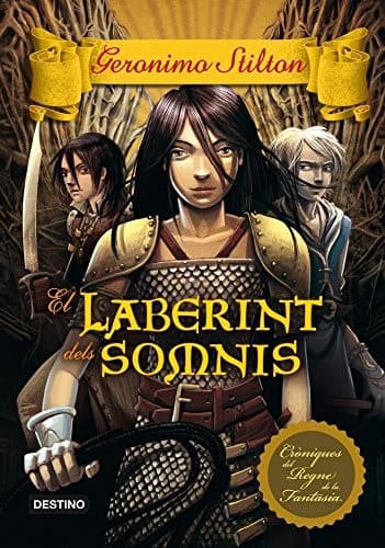 Cover image for El laberint dels somnis