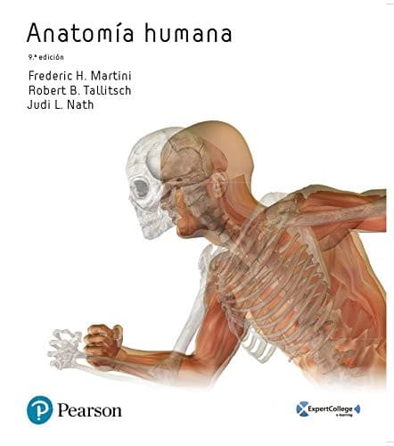 Cover image for ANATOMÍA HUMANA