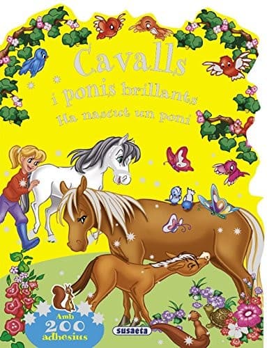 Cover image for El llibre del semàfor