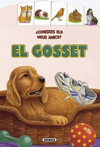 Cover image for El gosset
