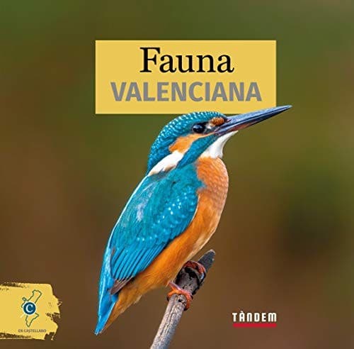 Cover image for Fauna valenciana