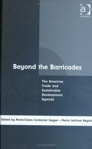 Cover image for Beyond the Barricades
