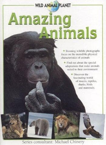 Cover image for Amazing Animals