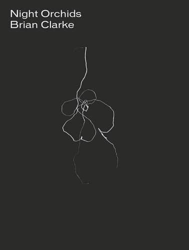 Cover image for Night Orchids