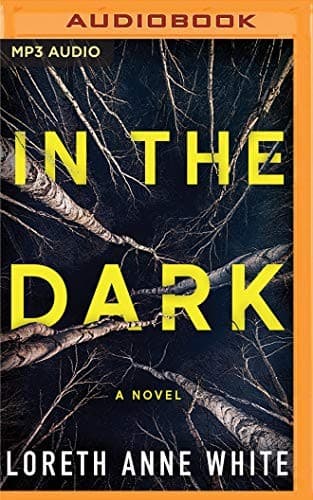 Cover image for In the Dark
