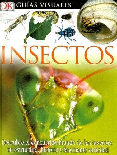 Cover image for Insectos (DK Eyewitness Books)